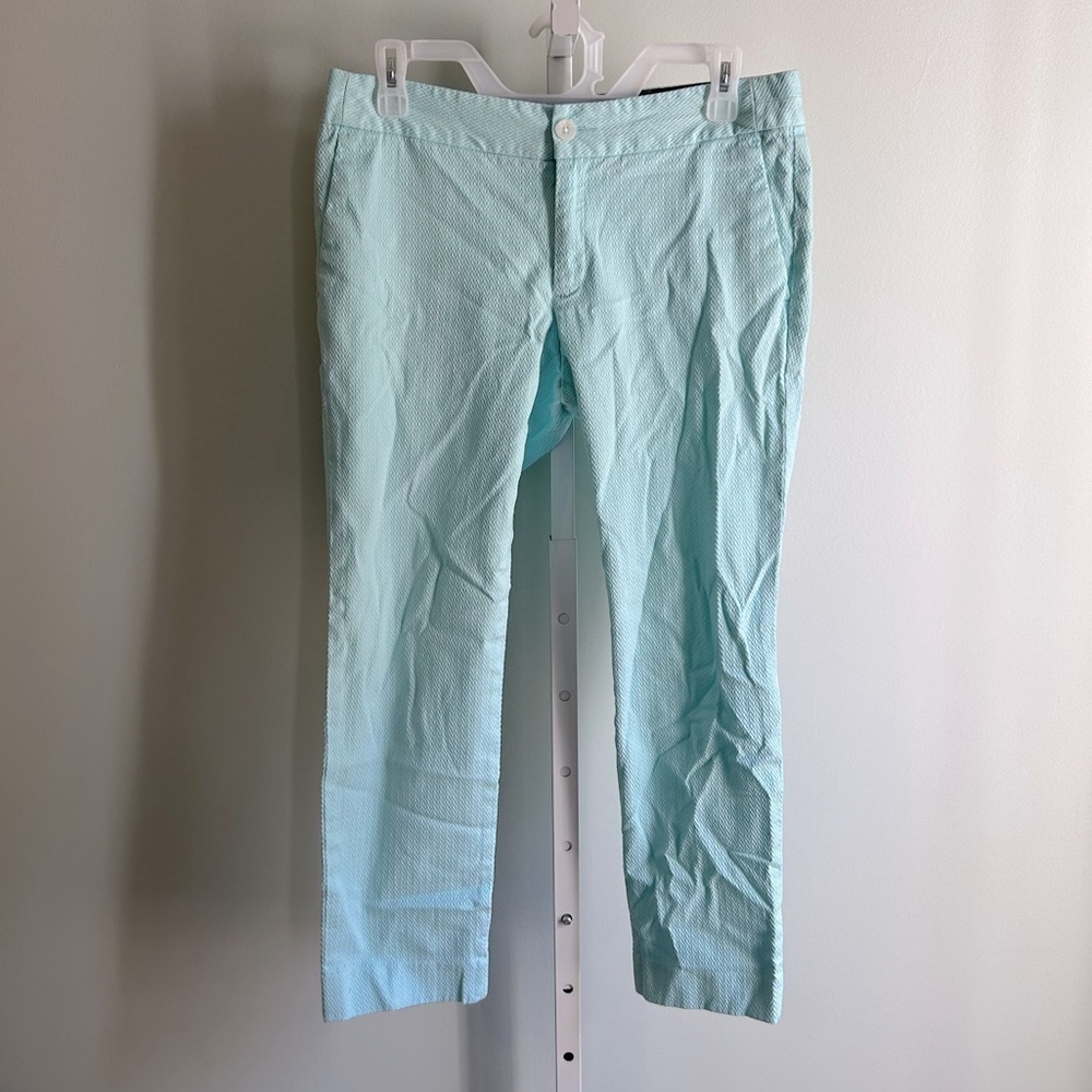 Banana Republic Mint Colored Hampton Fit Pants